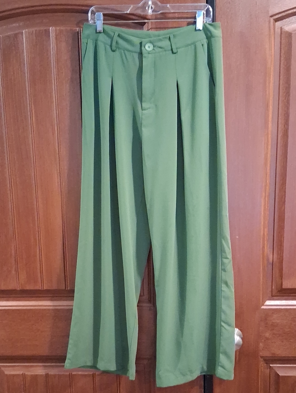 Cider Wide-Leg Pleated Dress Pants - Green